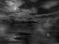 Gray Scale Night